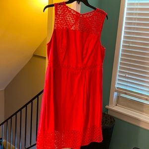 Calvin Klein sleeveless, peek-a-boo open back dress! Coral colored!